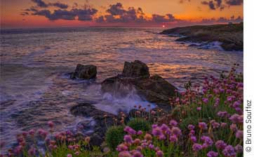 Portrait présence interview